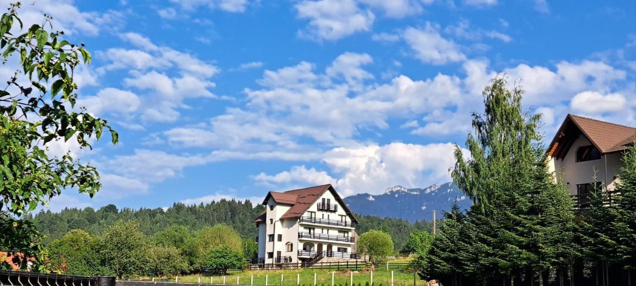 Апартаменты Casa De Vacanta Бран Экстерьер фото